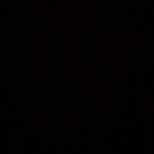 Meet your Posher, Brendon